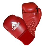 Перчатки боксерские Rookie (Красные)