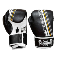 Боксерские перчатки Flamma Terminator