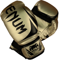 Боксерские перчатки Venum Challenger 2.0 SE